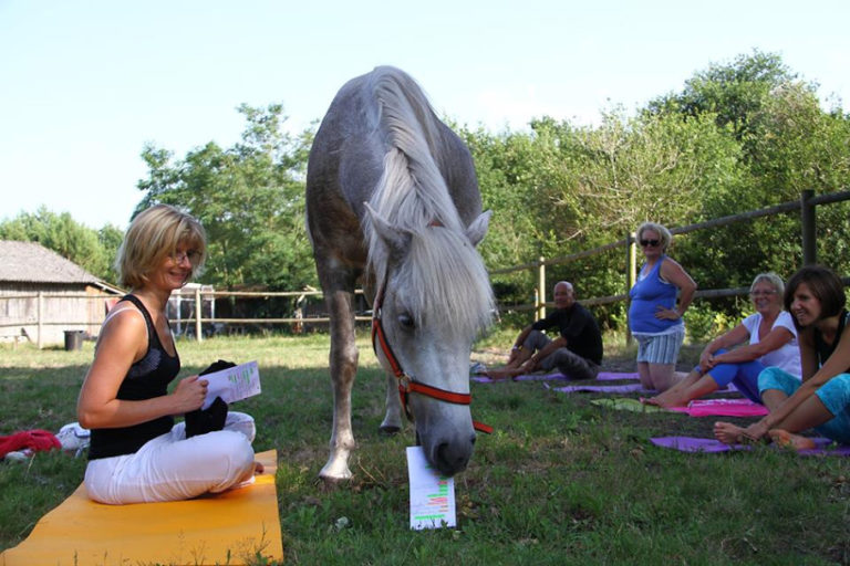 Yoga et cheval - Cheval miroir