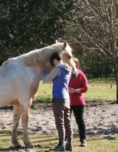 Retraite yoga et cheval - Lignan-de-Bazas - Mars 2021 - Communication avec les chevaux