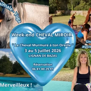 Visuel illustrant le week-end "cheval miroir" à Lignan-de-Bazas en juillet 2026